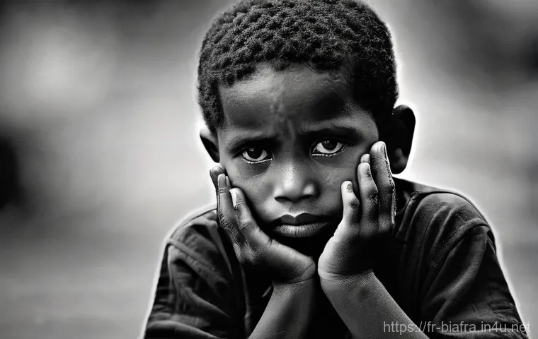 비아프라 독립운동과 국제 인권 단체 - **Prompt:** A humanitarian aid worker, clearly identifiable by a vest or symbol reminiscent of the R...