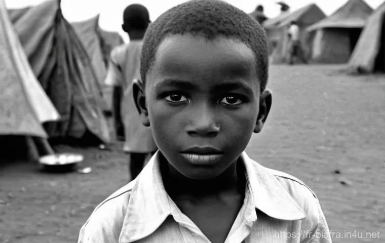 비아프라 전쟁과 국제 원조 단체 - **Prompt 1: The Glimmer of Hope Amidst Famine's Shadow**
    A profoundly moving, realistic photogra...