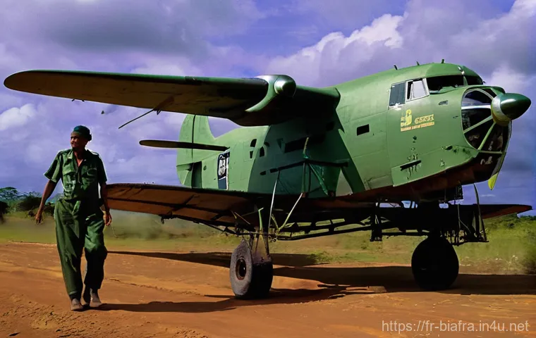 비아프라 전쟁과 국제 원조 단체 - **Prompt 1: The Glimmer of Hope Amidst Famine's Shadow**
    A profoundly moving, realistic photogra...