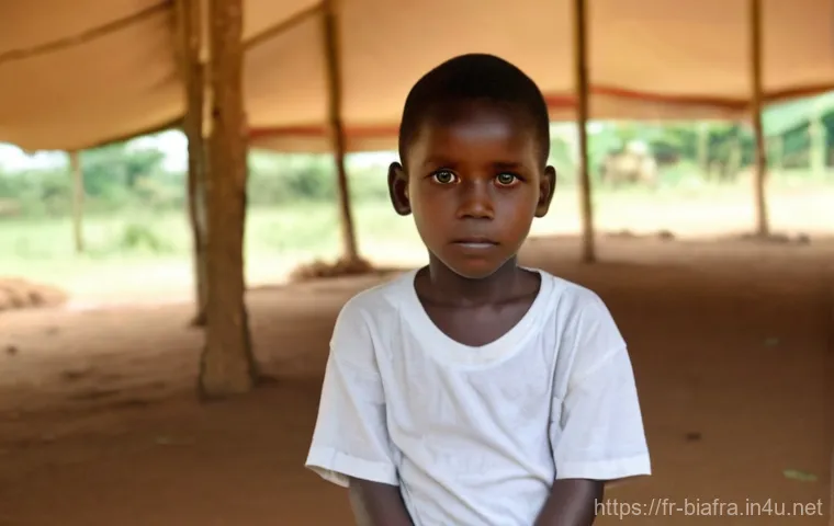 비아프라 전쟁 당시 주요 전략 - **Image Prompt: Resilience in a Makeshift Community**
    A scene depicting daily life in a resilien...